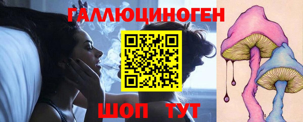 Галлюциногенные грибы Psilocybe Гатчина