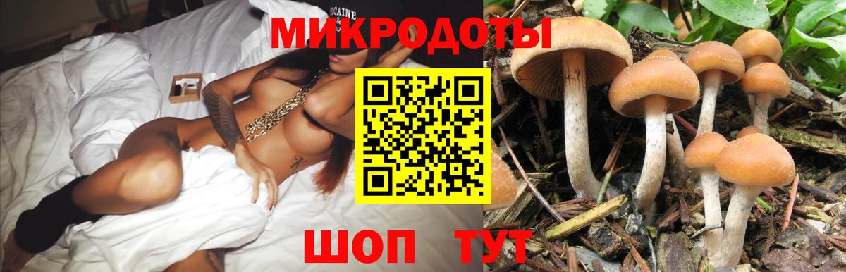 Гатчина  Псилоцибиновые грибы мицелий  Псилоцибиновые грибы GOLDEN TEACHER  Вход с VPN 